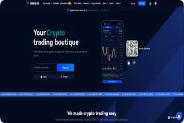 Long-Term Price Prediction Techniques Applied to Crypto