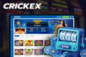 How Online Casino Platforms Like Crickex Operate