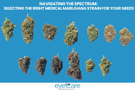 What Makes Strain Guides So Valuable for Medical Marijuana Users in Florida?