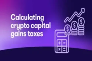 Capital Gains Tax on Crypto: What You Owe (And How to Calculate It)