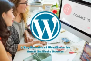 Is WordPress a Good Option for Small Businesses in San Antonio?