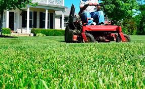 Why Sustainable Lawn Care Is The Future Of Landscaping