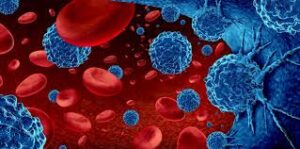 Treatment Profiles: Brukinsa vs Jaypirca in Chronic Lymphocytic Leukemia 