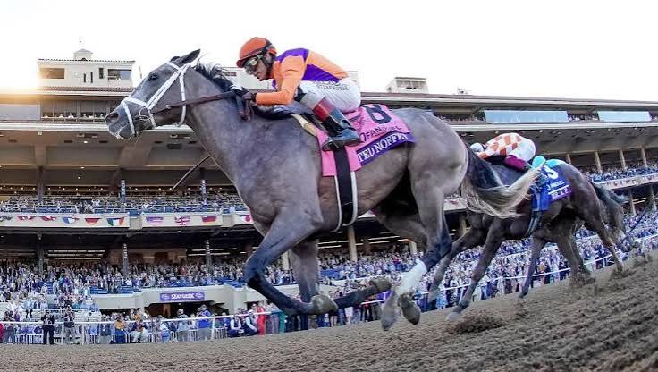 Betting on the 2026 Indiana Derby: Race Day Factors Bettors Should Watch