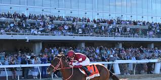 The 2026 Breeders' Cup Betting: How Technology is Changing the Race